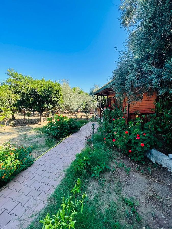 Felicity Hotel & Bungalows Кемер Экстерьер фото