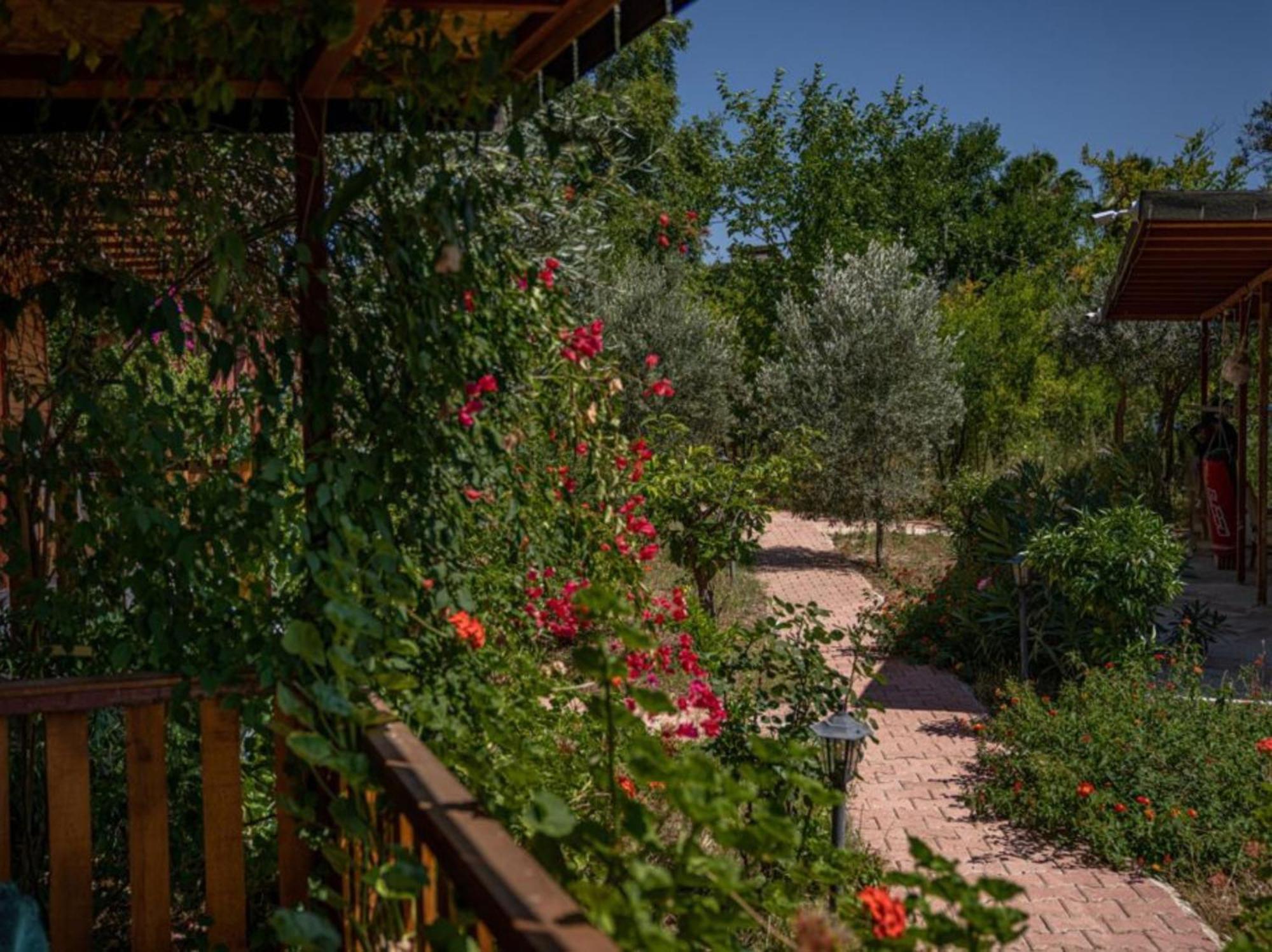 Felicity Hotel & Bungalows Кемер Экстерьер фото