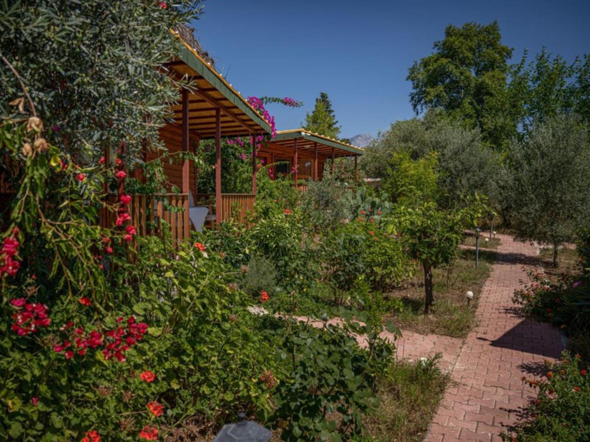 Felicity Hotel & Bungalows Кемер Экстерьер фото
