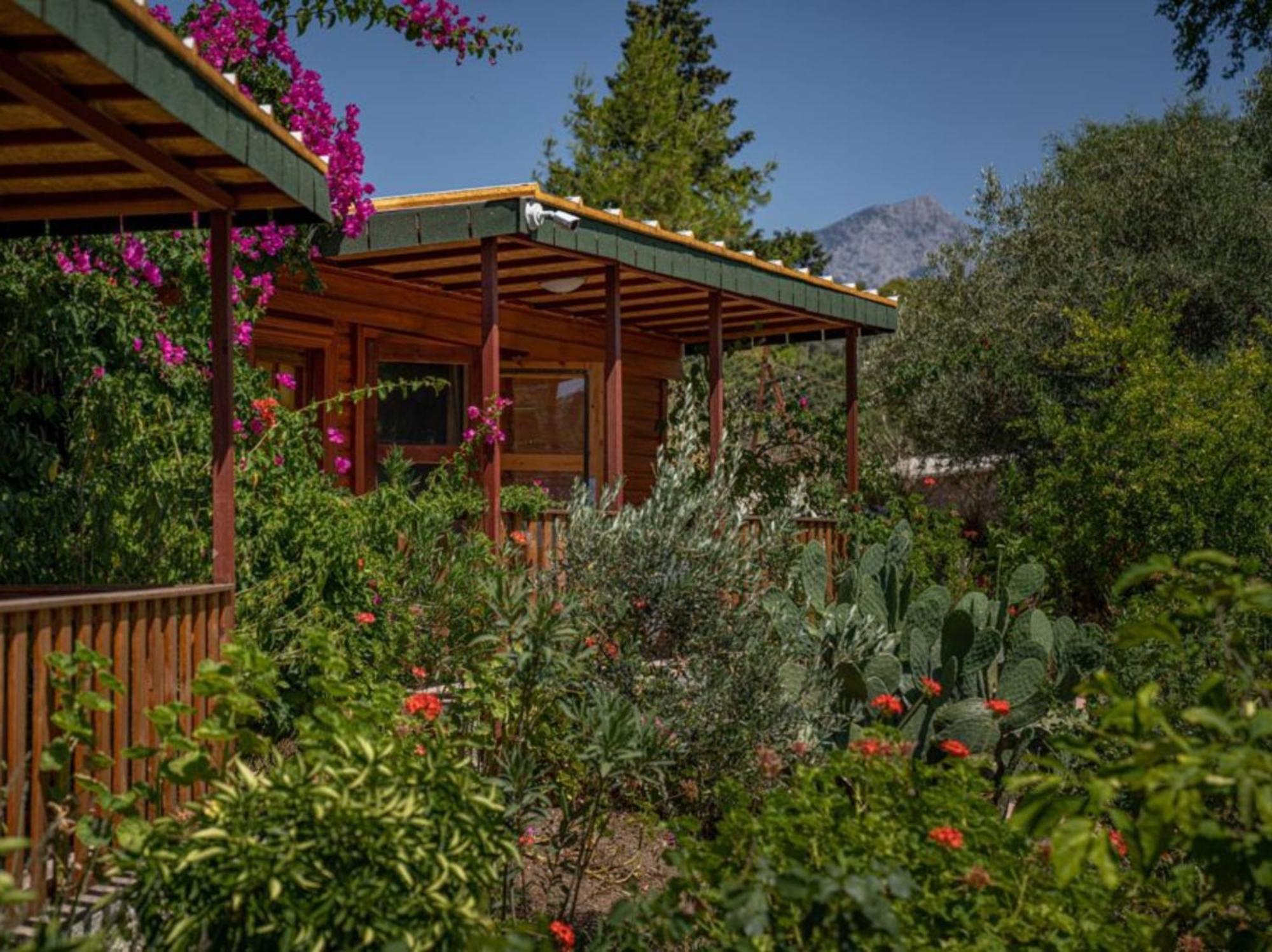 Felicity Hotel & Bungalows Кемер Экстерьер фото
